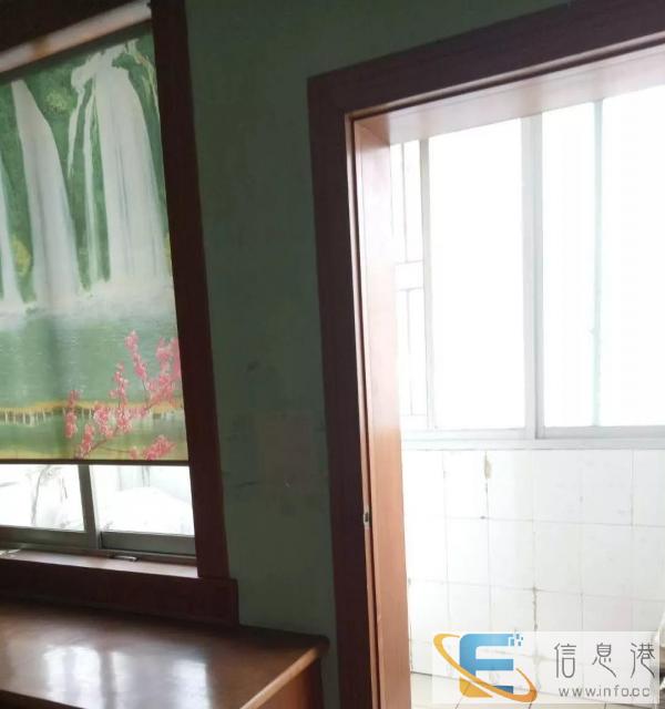 金禾苑 阳光城 精装修 小跃层 紧租1600
