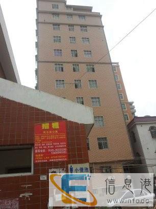 凤兰苑出租公寓 1室 0厅 16平米 整租
