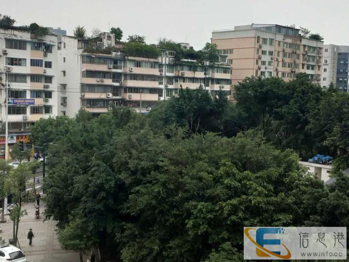 南岸人民路小学学 校的房子标准三房 干净卫生 离学校非常
