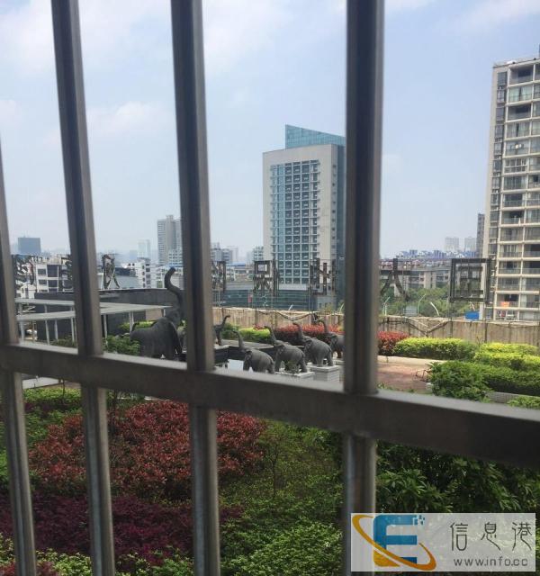 潇湘公园曼谷峰景 1室1厅49平米 豪华装修 押一付三