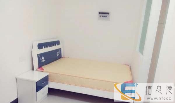 金水湾城市广 精装修 租一年800 租半年900