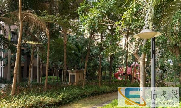 东骏华庭 精装三房两厅两卫 拎包入住